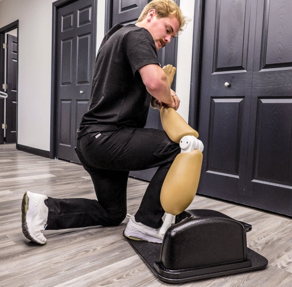 Hip Dislocation Simulator